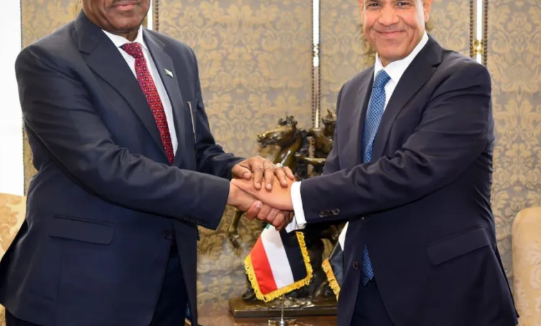 مصر تدعو لتنسيق الجهود الدولية لحل الأزمة السودانية