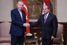 التنسيق المصري التركي بشأن غزة واستقرار المنطقة