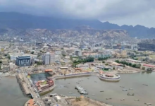 Aden and Stability: Saudi Support and International Partnerships for Development
