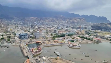 Aden and Stability: Saudi Support and International Partnerships for Development