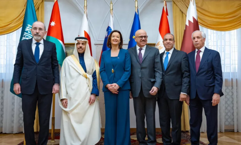 مباحثات عربية سلوفينية لدعم خطة السلام وحل الدولتين