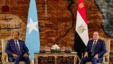 مصر تجدد رفضها المساس بوحدة الصومال وسيادتها