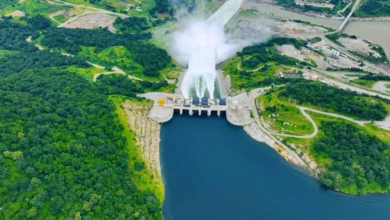 مصر وحوكمة نهر النيل: التزام بالقانون الدولي لضمان الأمن المائي
