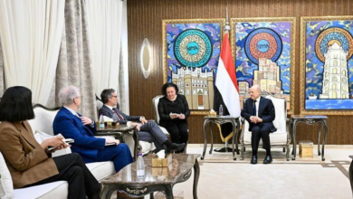 العليمي: توحيد المؤسسة العسكرية والأمنية شرط استقرار اليمن