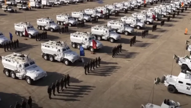 Egyptian peacekeeping forces in Somalia: Dimensions and challenges