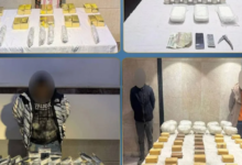 Amendments to the drug law in Egypt: The government addresses the constitutional ruling