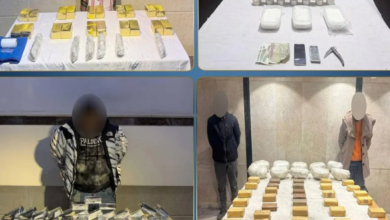 Amendments to the drug law in Egypt: The government addresses the constitutional ruling