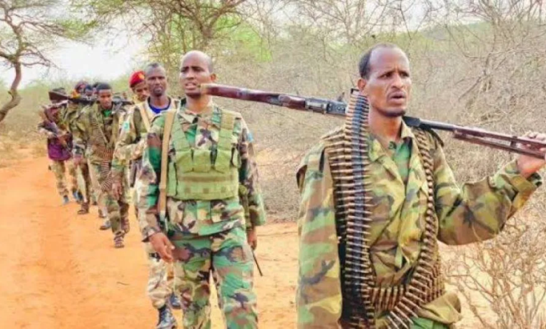 الصومال: عفو رئاسي يضيق الخناق على حركة الشباب