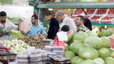 ممارسات حوثية تدمر الاقتصاد الزراعي في اليمن