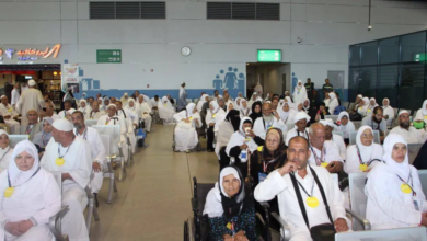 Growth in travel between Saudi Arabia and Egypt: Reasons and future prospects