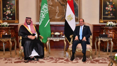 مصر تتضامن مع الدول العربية وتدين الضربات الإيرانية