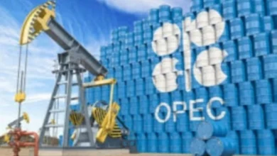 أوبك بلس: تعليق زيادة الإنتاج في مارس 2026 لدعم استقرار السوق