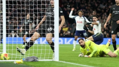 Manchester City draw 2-2 with Tottenham in the English Premier League