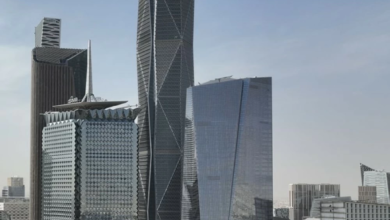 Public Investment Fund and private sector partnership to support Vision 2030