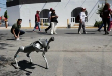 المكسيك تستعين بكلاب روبوتية لتأمين كأس العالم 2026