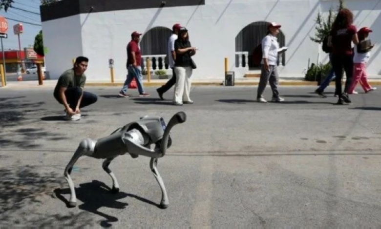 المكسيك تستعين بكلاب روبوتية لتأمين كأس العالم 2026