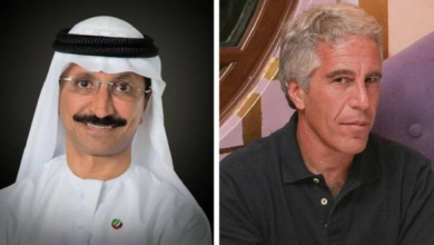 تجميد استثمارات موانئ دبي العالمية بسبب ملفات إبستين