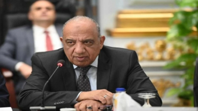 بدء الربط الكهربائي بين مصر والسعودية بقدرة 1500 ميغاوات