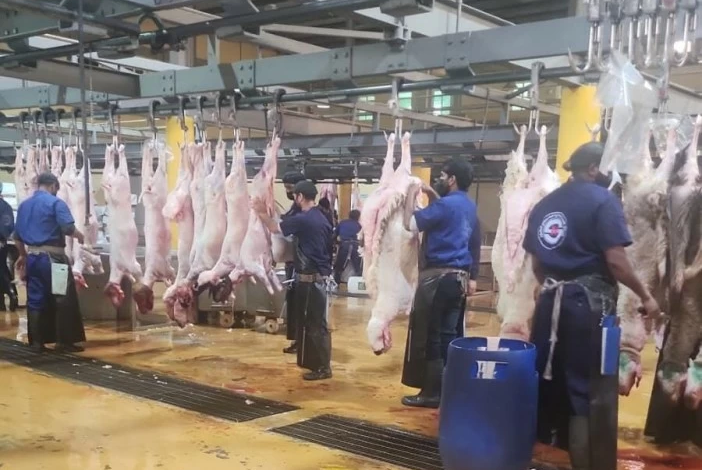 أسعار اللحوم في الطائف تقفز لـ 80 ريالاً في رمضان