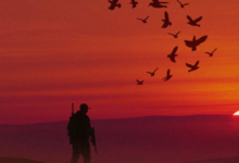 End of the 2025-2026 hunting season in Saudi Arabia: details and results