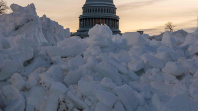 عاصفة شتوية تضرب أمريكا: إلغاء 2100 رحلة وتهديد المحاصيل