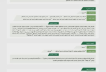 Integrity Commission uncovers 11 criminal corruption cases involving millions of riyals in Saudi Arabia