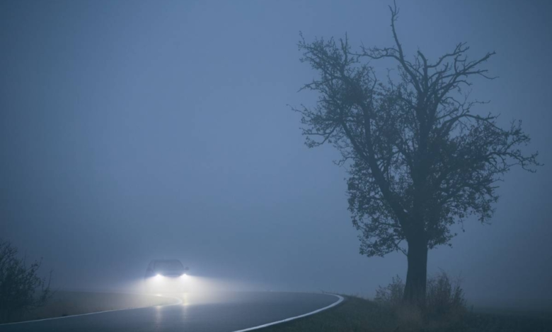 The Meteorology Department warns of dense fog and reduced visibility in 5 regions of the Kingdom