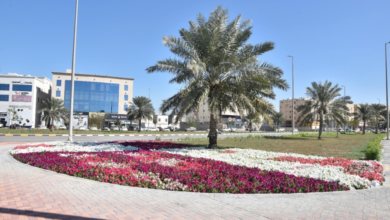 القطيف تزيد المسطحات الخضراء: 185 حديقة ومشاريع واعدة لعام 2026