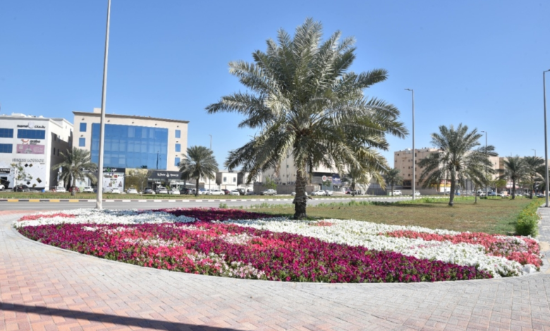 القطيف تزيد المسطحات الخضراء: 185 حديقة ومشاريع واعدة لعام 2026