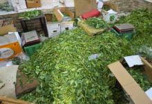 Jeddah Municipality destroys a ton of food and closes 4 violating sites