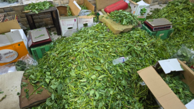 Jeddah Municipality destroys a ton of food and closes 4 violating sites