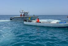 ضبط مخالفين للصيد في تبوك: جهود حرس الحدود وحماية البيئة