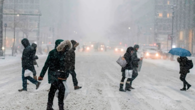 وفيات موجة الصقيع في نيويورك: أرقام قياسية وإجراءات طارئة