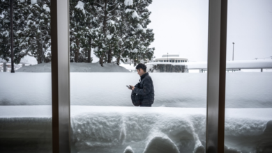 30 people killed by snow in Japan, military intervened