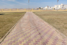 بلدية الرفيعة: زراعة 6 آلاف شجرة ورفع المخلفات لتحسين المشهد الحضري