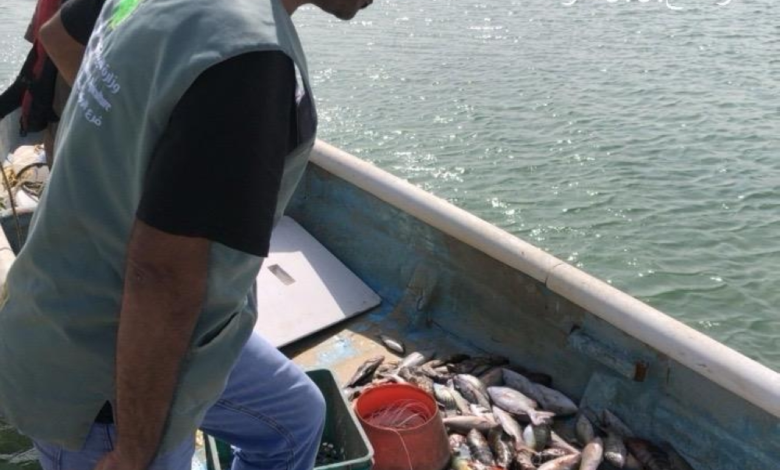 Makkah Environment inspects 500 boats in 85 rounds to protect fish stocks