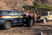 Violators caught cutting down trees in Tabuk: Security and Protection enforces penalties