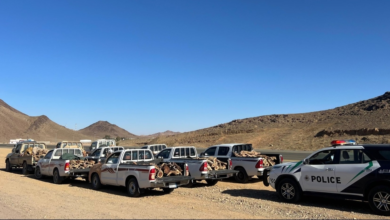 Nine violators were apprehended in Tabuk for selling local firewood and violating environmental regulations