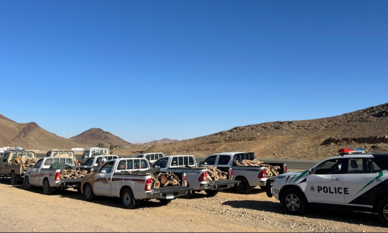 Nine violators were apprehended in Tabuk for selling local firewood and violating environmental regulations