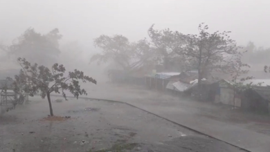 Zimbabwe: 118 dead due to heavy rains and floods