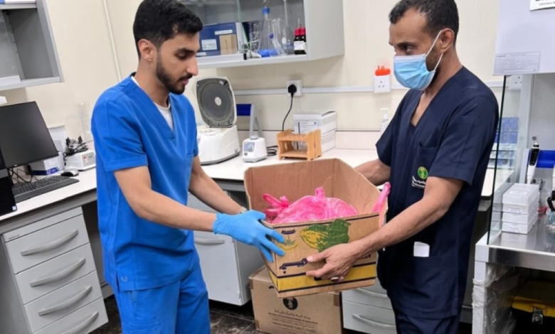 البيئة تفحص متبقيات المبيدات في أسواق مكة وجدة