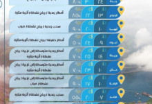 Saudi Arabia weather today: Rain in Riyadh and Dammam and temperatures