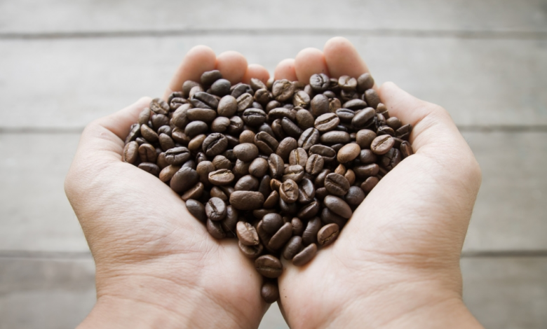 Brazil expects a record coffee production in 2026 exceeding 66 million bags