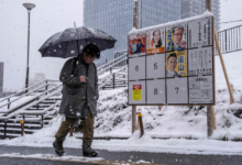 Japan's snap elections: Voters choose their new parliament