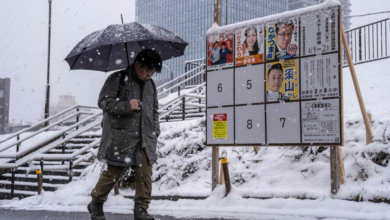 Japan's snap elections: Voters choose their new parliament