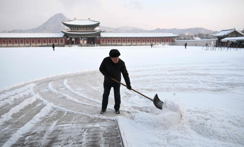 عاصفة ثلجية في كوريا الجنوبية: إلغاء 163 رحلة بمطار جيجو