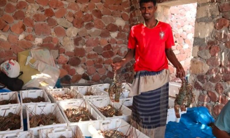 البرنامج السعودي يعيد تأهيل خيصة الصيادين في سقطرى