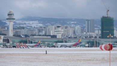 Jeju Airport in South Korea paralyzed: Snow cancels 163 flights