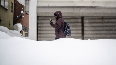 46 dead: The toll from the snowstorms in Japan and details of the disaster