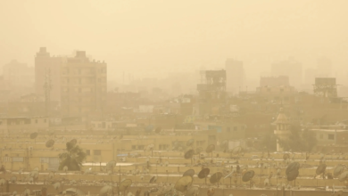 طقس الأربعاء: أتربة ورياح نشطة بالرياض والشرقية وتنبيهات الأرصاد